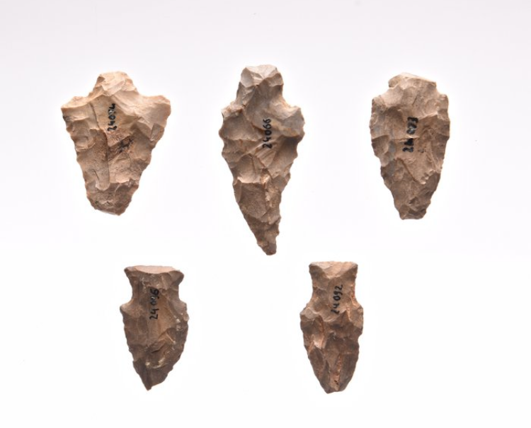 Neolithic Flint Arrowheads (5 pcs) – USA (4000–1300 BP) - Image 2