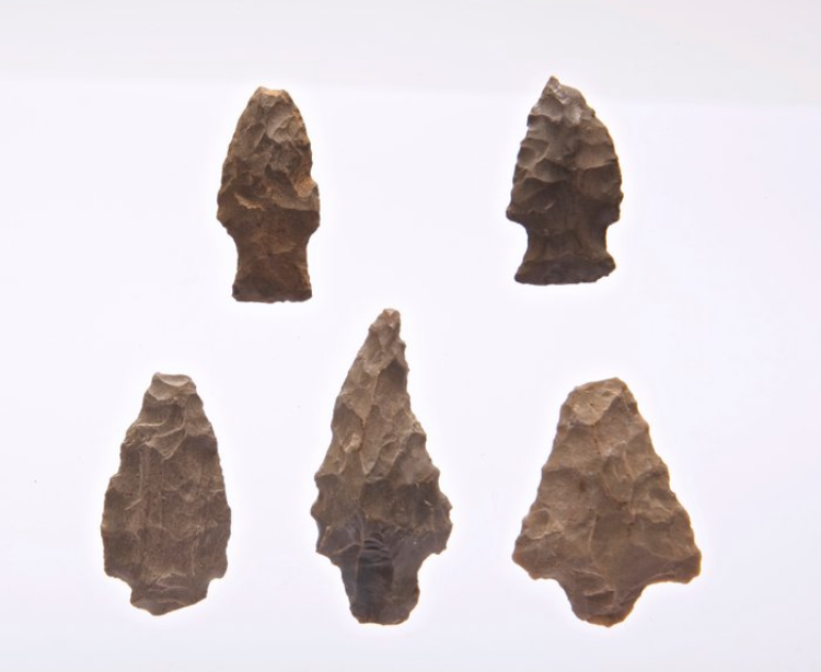 Neolithic Flint Arrowheads (5 pcs) – USA (4000–1300 BP) - Image 3