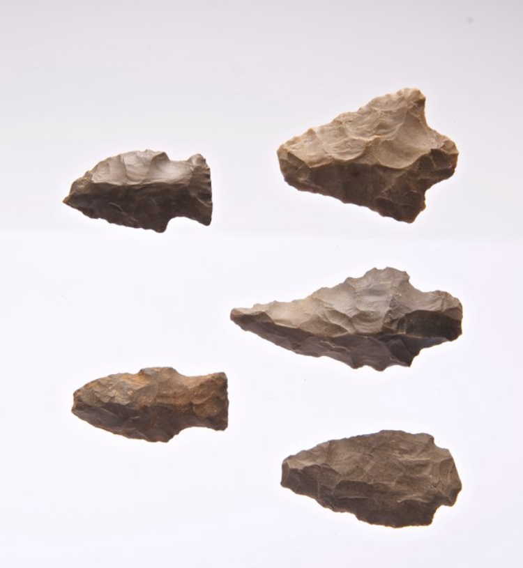 Neolithic Flint Arrowheads (5 pcs) – USA (4000–1300 BP) - Image 4