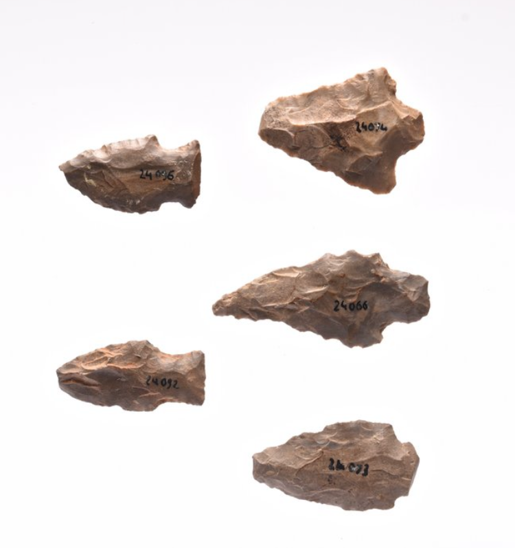 Neolithic Flint Arrowheads (5 pcs) – USA (4000–1300 BP) - Image 5