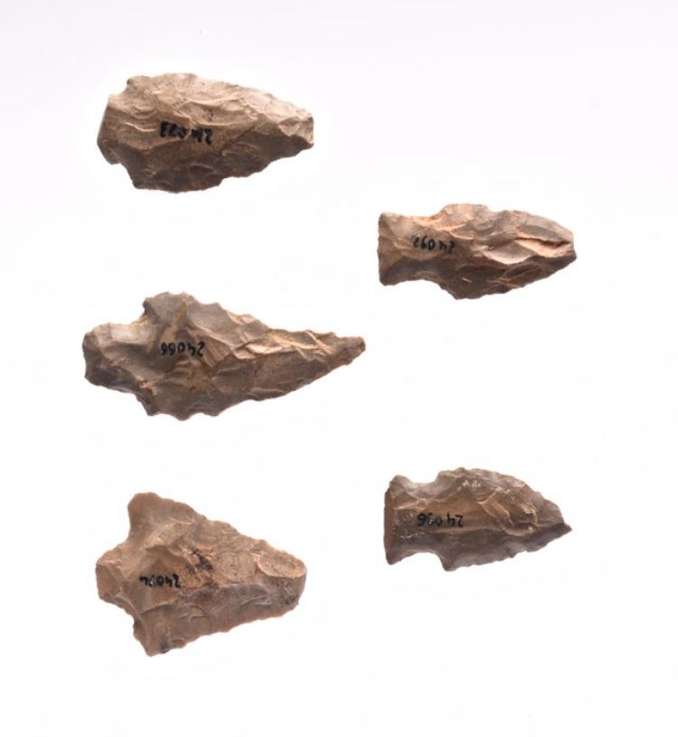 Neolithic Flint Arrowheads (5 pcs) – USA (4000–1300 BP) - Image 6