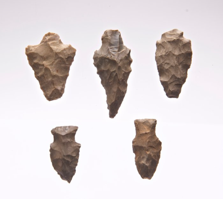 Neolithic Flint Arrowheads (5 pcs) – USA (4000–1300 BP) - Image 7