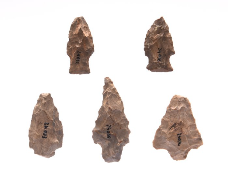 Neolithic Flint Arrowheads (5 pcs) – USA (4000–1300 BP) - Image 8