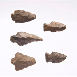 Neolithic Flint Arrowheads (5 pcs) – USA (4000–1300 BP)