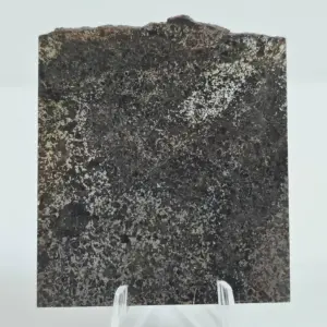 Meteorite Slice Tanezrouft 091 – Stony-Iron, 18.5 g