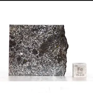 Meteorite Slice Tanezrouft 091 – Stony-Iron, 18.5 g