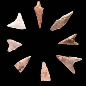 Neolithic Arrowheads (10) – Tenereen, Flint, 5200–2500 BC