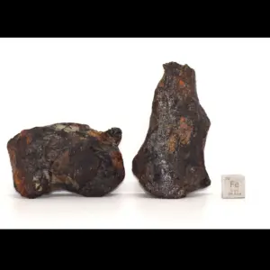 Aletai Iron Meteorite – 2 Pieces, Total Weight 243 g