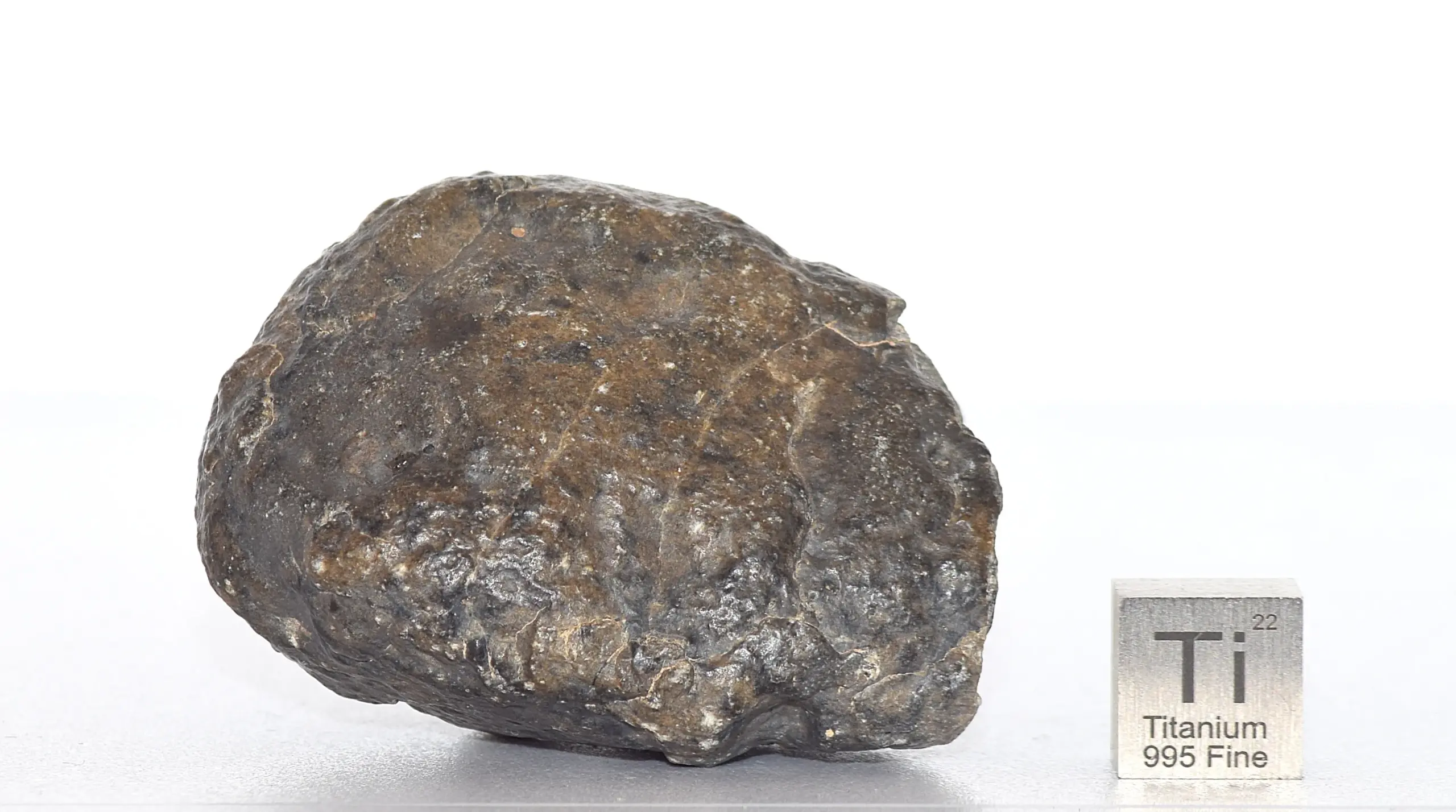 Meteorite Jikharra 001 – Eucrite (Achondrite), 83 g - Image 2