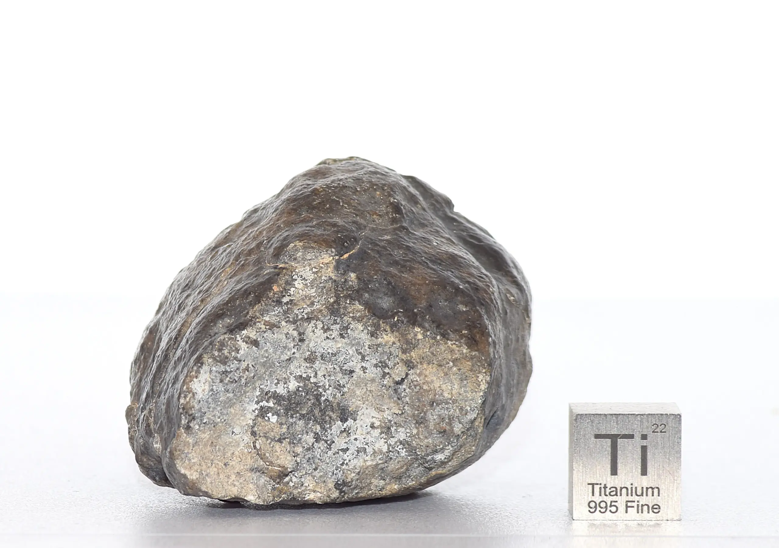 Meteorite Jikharra 001 – Eucrite (Achondrite), 83 g - Image 6