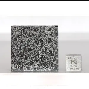 Meteorite Slice Tanezrouft 091 – Stony-Iron, 8.2 g