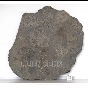 Meteorite Slice Jikharra 001 – Eucrite, 150 g