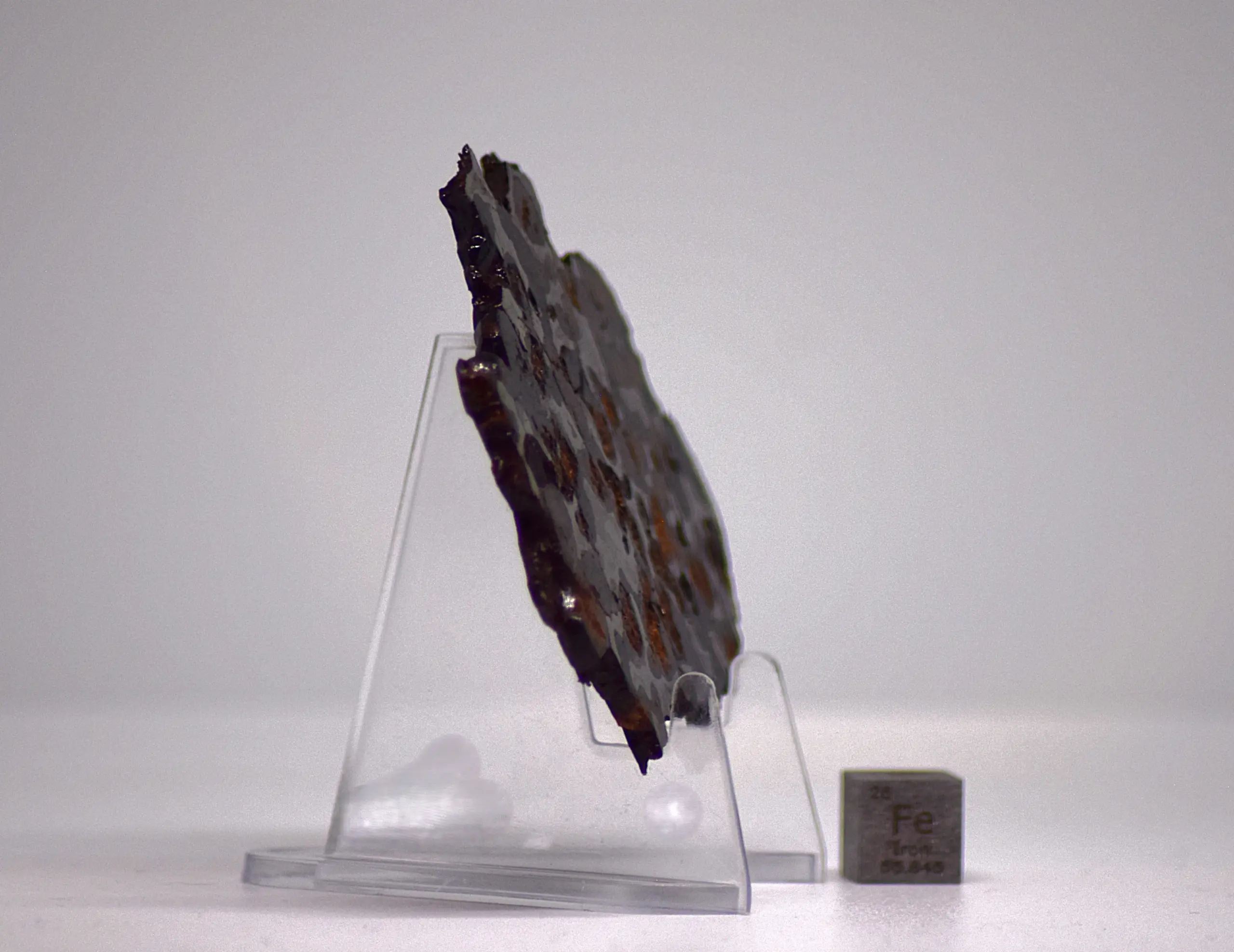 Sericho Pallasite Meteorite Slice – 77×70×4 mm, 40 g - Image 3