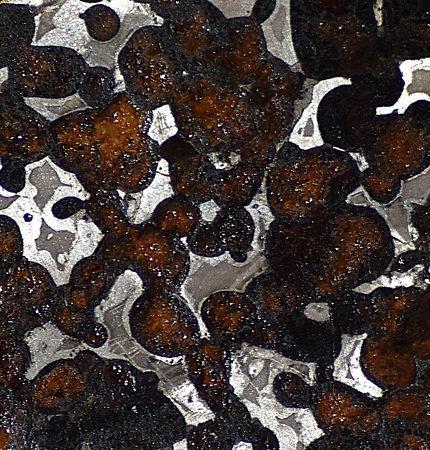 Sericho Pallasite Meteorite Slice – 77×70×4 mm, 40 g - Image 4