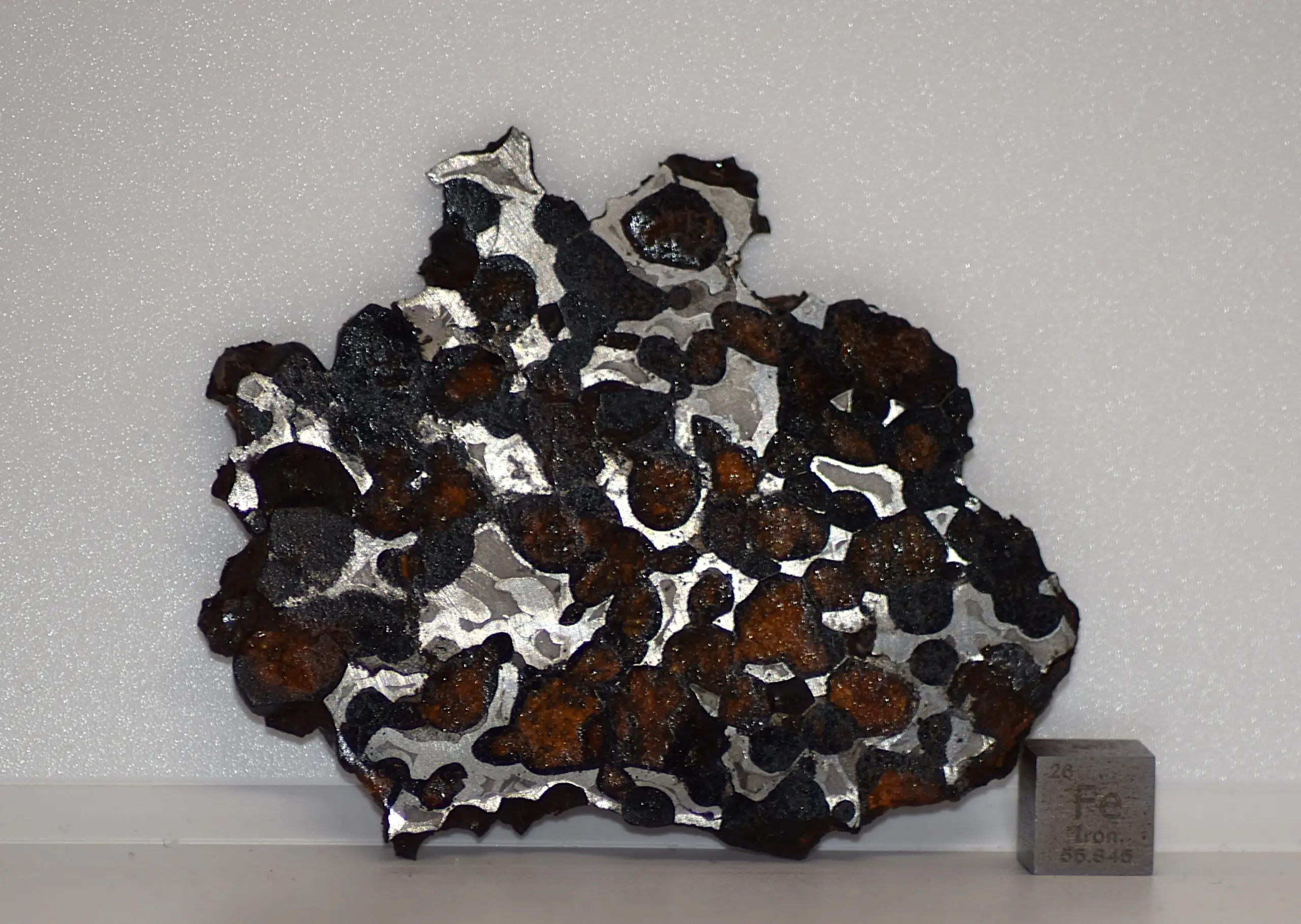 Sericho Pallasite Meteorite Slice – 77×70×4 mm, 40 g - Image 2