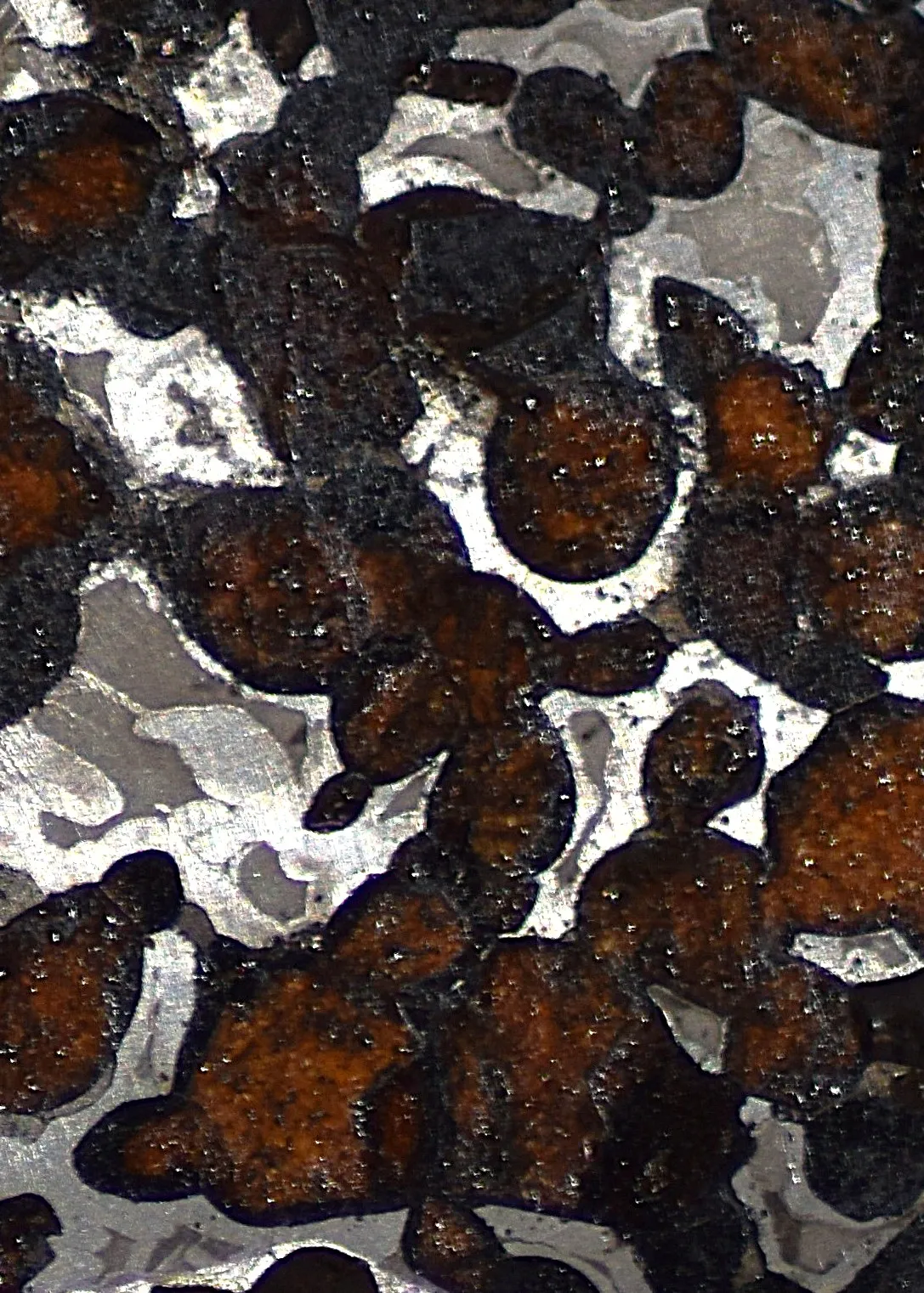 Sericho Pallasite Meteorite Slice – 77×70×4 mm, 40 g - Image 5