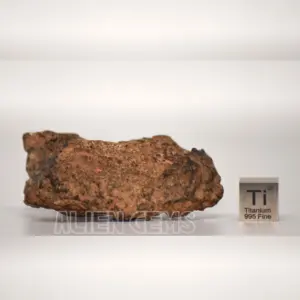 NWA 15788 Diogenite Breccia – 37.7 g