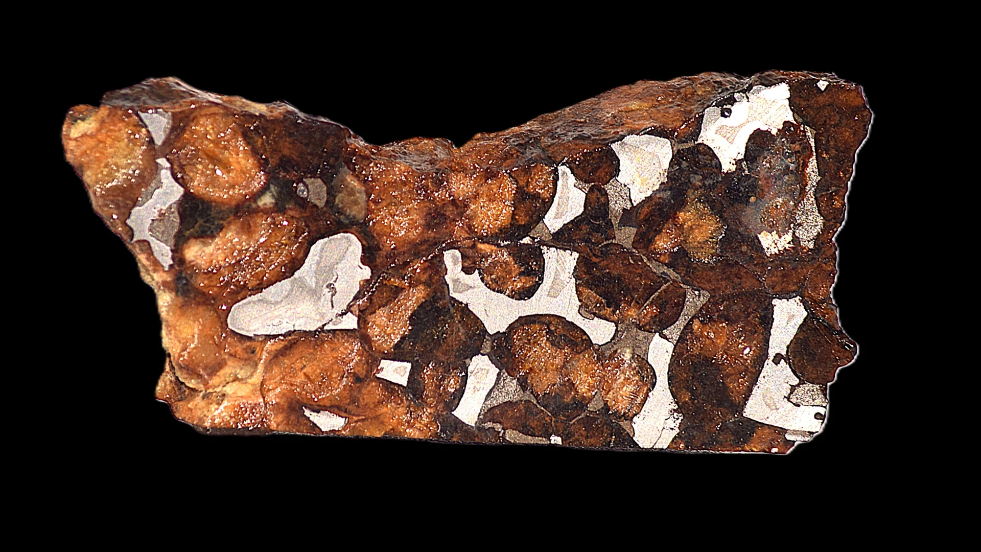 Stony-Iron Meteorites