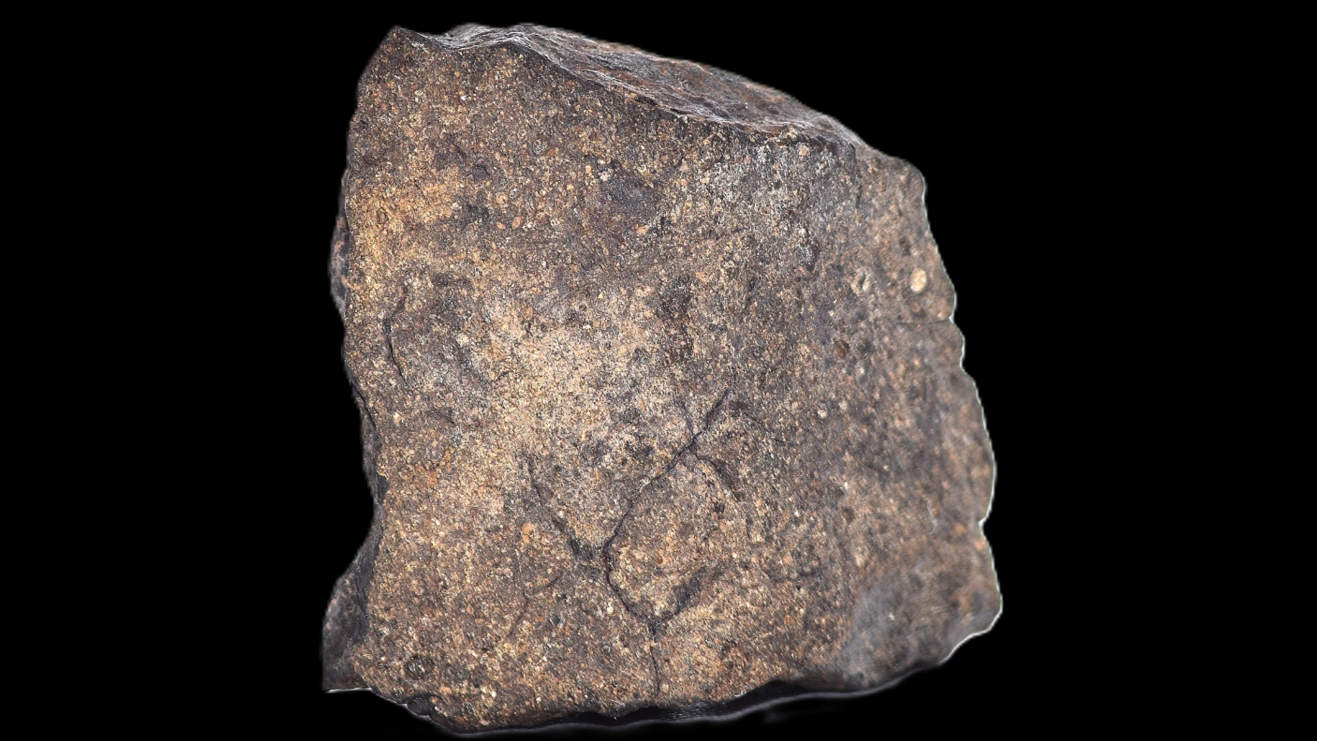 Chondrites