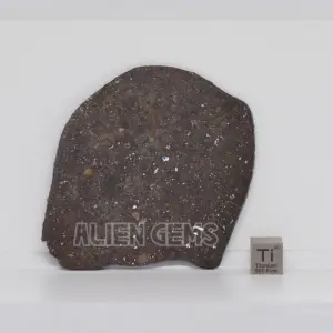 NWA 869 Meteorite Slice – Ordinary Chondrite, 21 g
