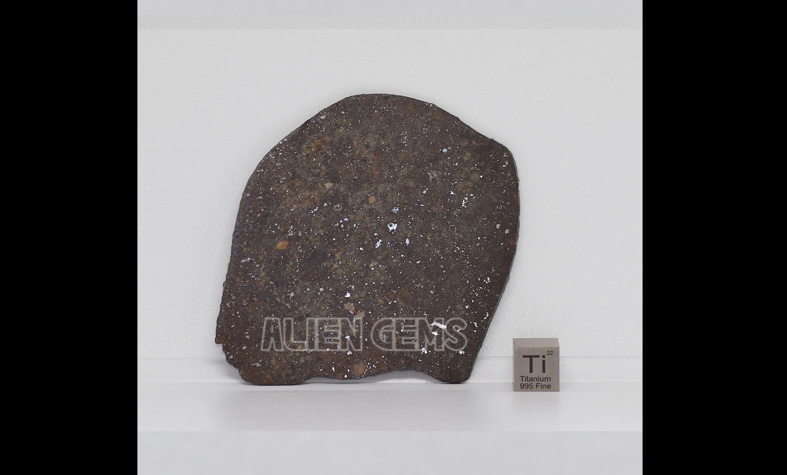 NWA 869 Meteorite Slice – Ordinary Chondrite, 21 g