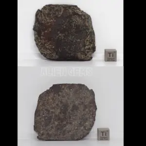 NWA 869 Meteorite – Ordinary Chondrite, 68 g