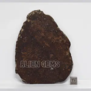 NWA 16901 Meteorite Slice – Ordinary Chondrite (L5), 56.5 g