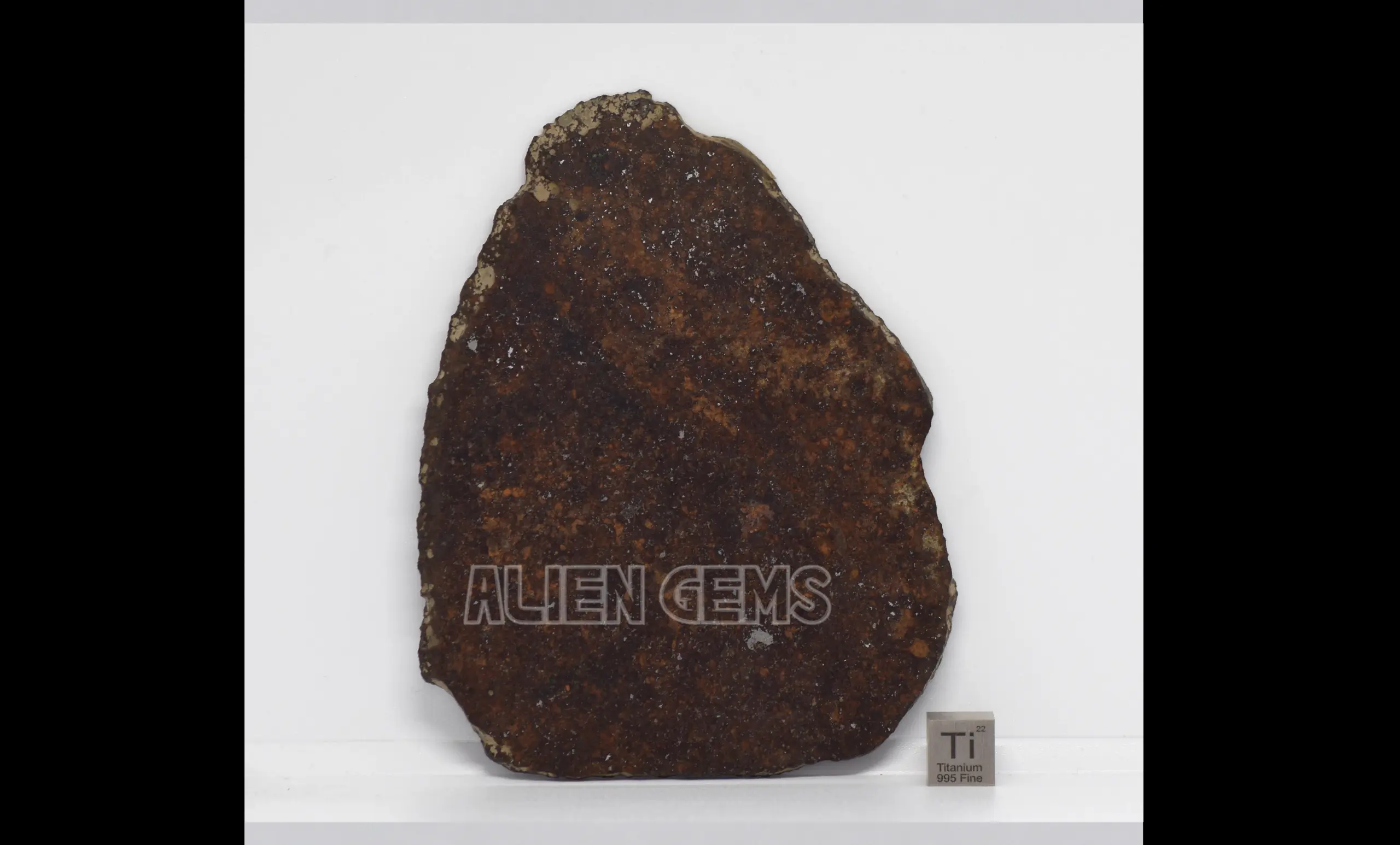 NWA 16901 Meteorite Slice – Ordinary Chondrite (L5), 56.5 g