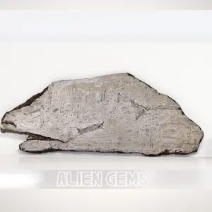 Aletai Iron Meteorite Slice – 93 g, 120×50×3 mm