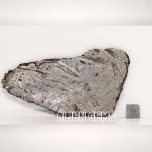 Aletai Iron Meteorite Slice – 112 g, 110×56×4 mm