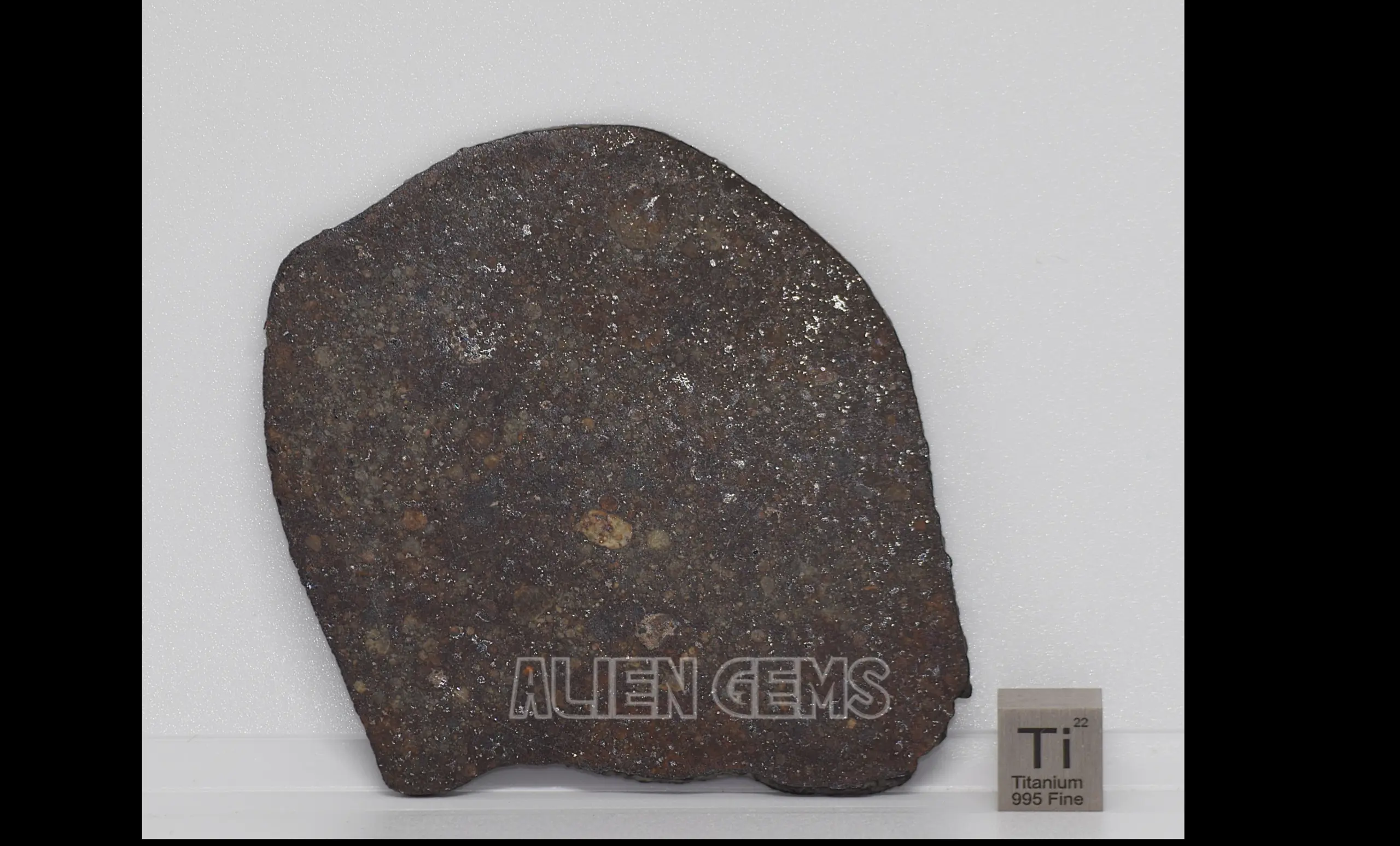 NWA 869 Meteorite Slice – Ordinary Chondrite, 21 g - Image 2