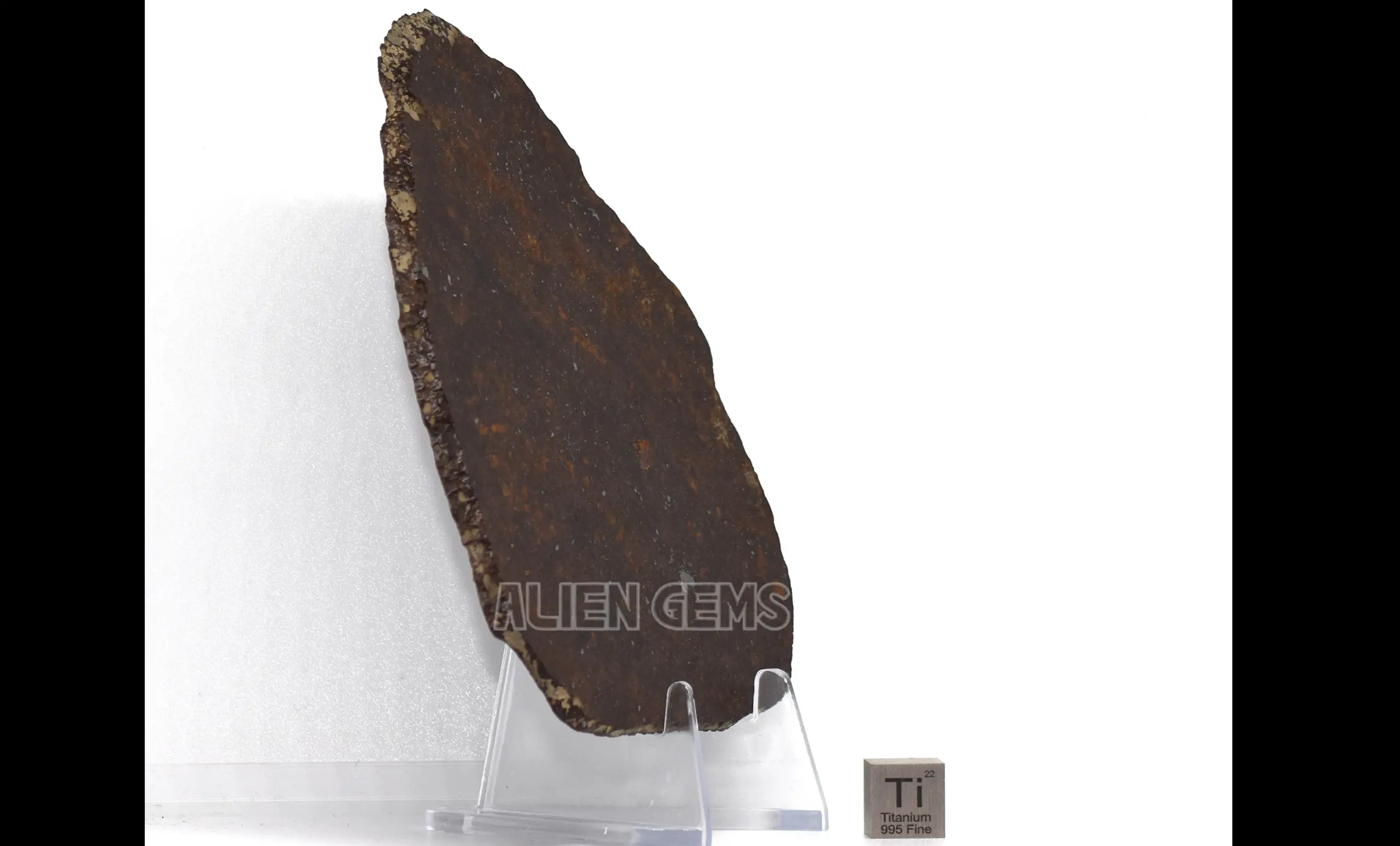 NWA 16901 Meteorite Slice – Ordinary Chondrite (L5), 56.5 g - Image 3