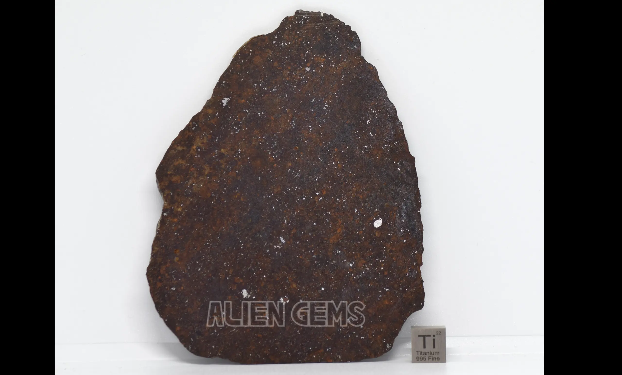 NWA 16901 Meteorite Slice – Ordinary Chondrite (L5), 56.5 g - Image 2