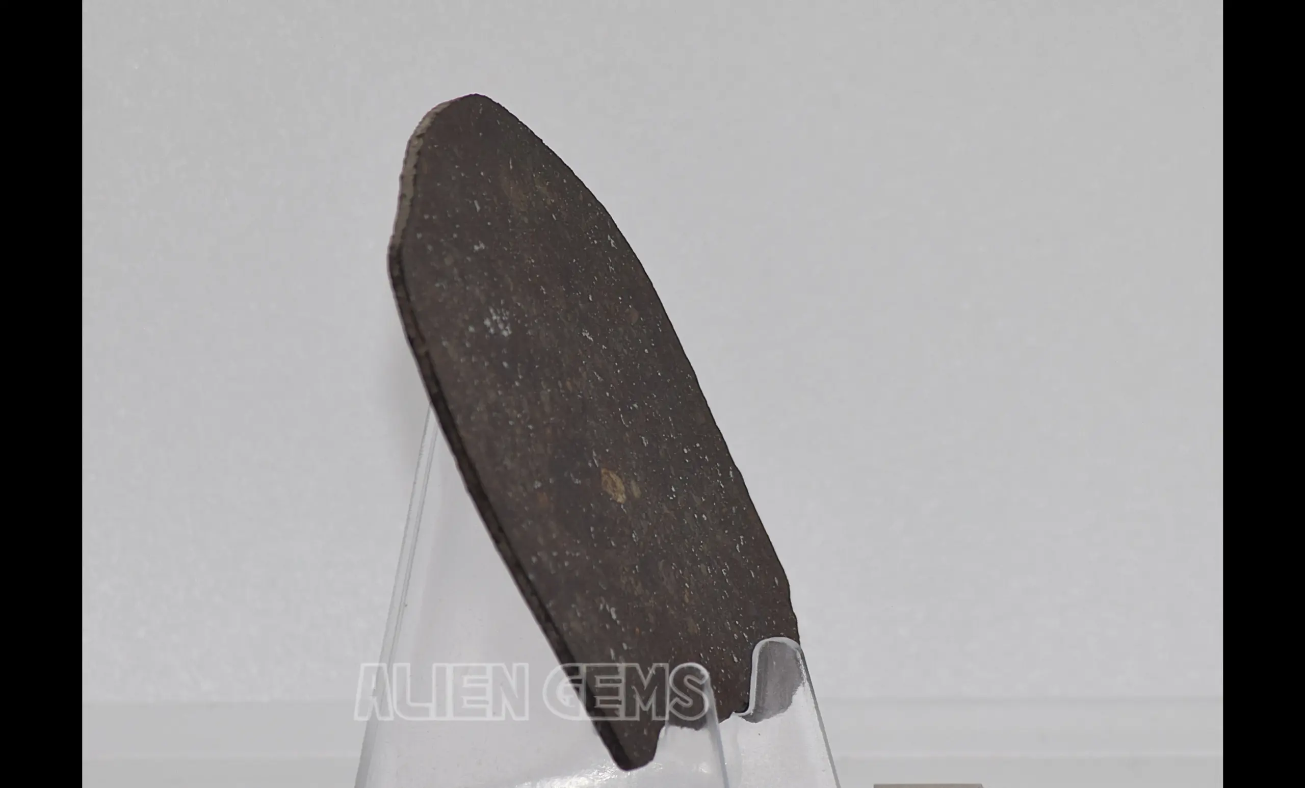 NWA 869 Meteorite Slice – Ordinary Chondrite, 21 g - Image 3