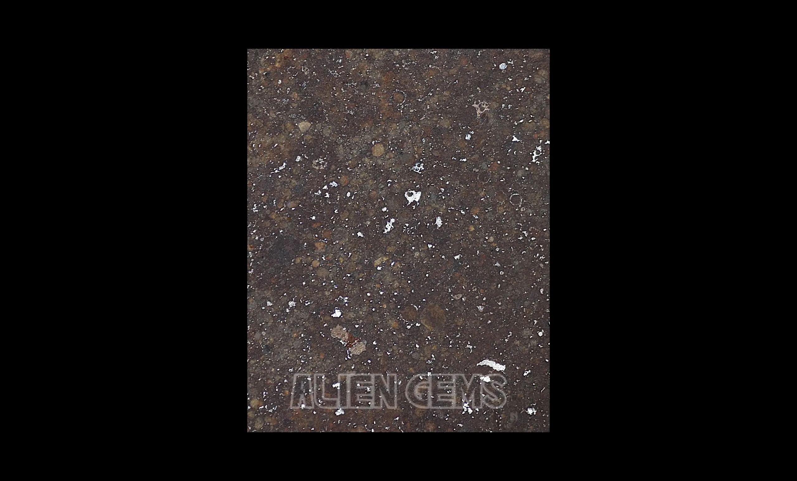 NWA 869 Meteorite Slice – Ordinary Chondrite, 21 g - Image 4