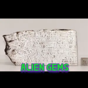 Aletai Iron Meteorite Slice – 88 g, 98×50×2.5 mm